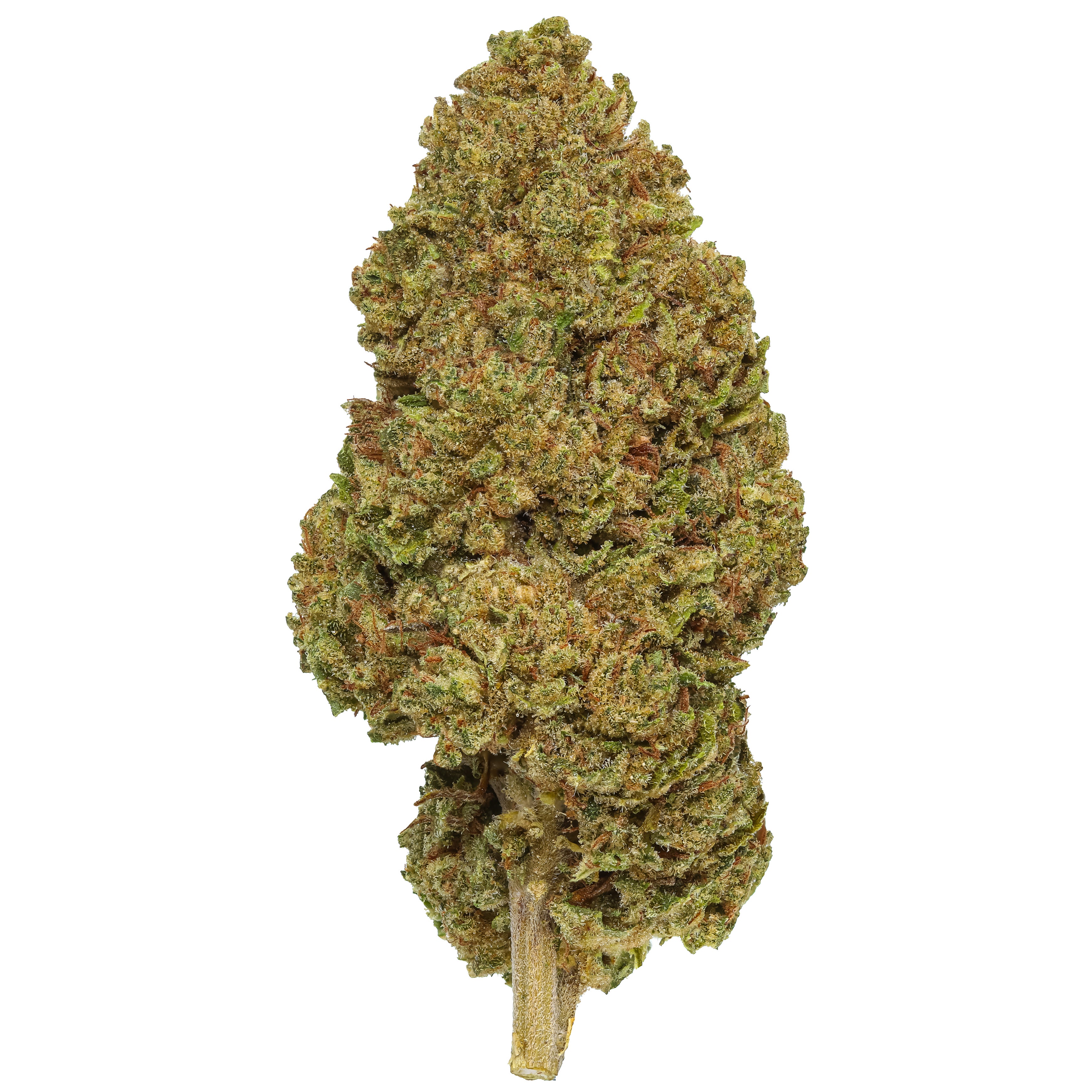 そ*人様 KUSH 9\