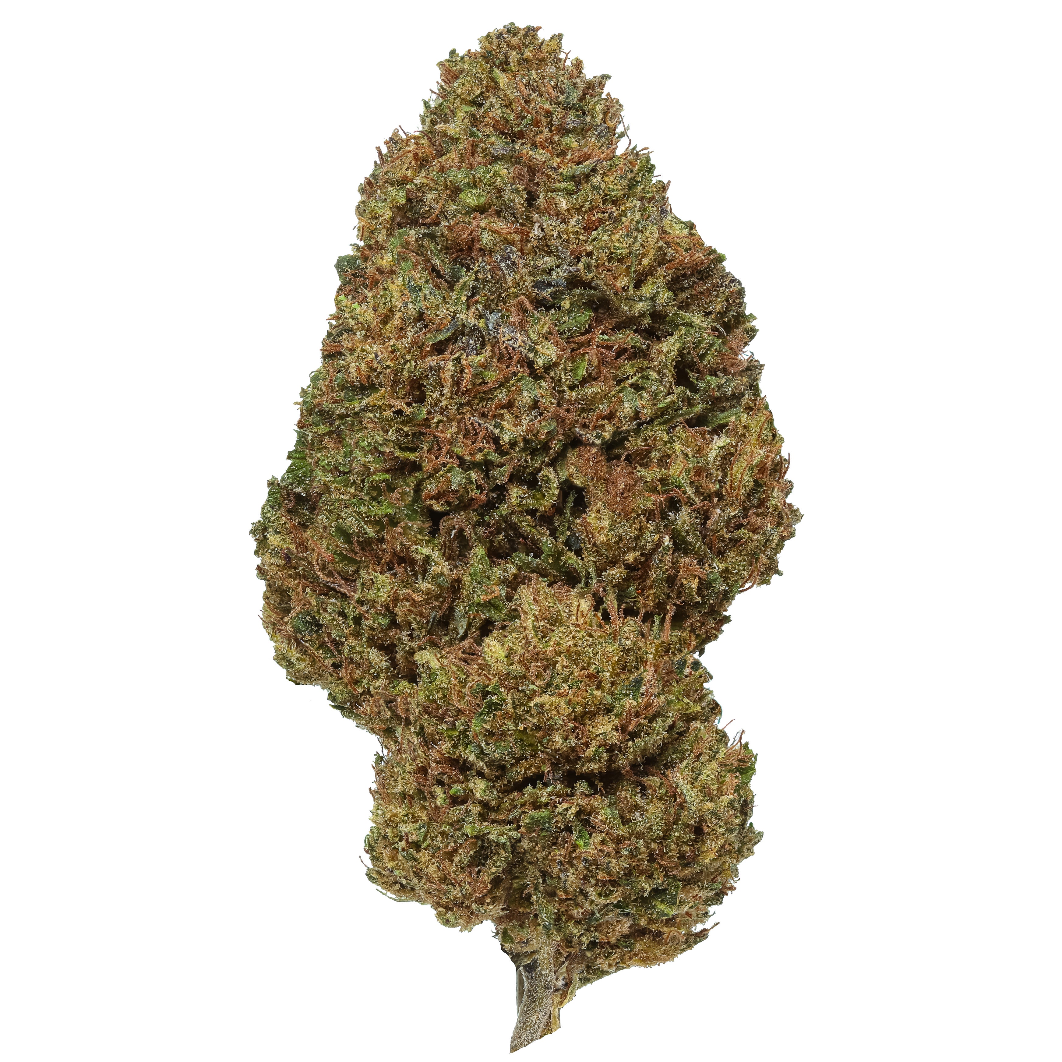 Royal OG Hemp flower | Lost Oak Farms
