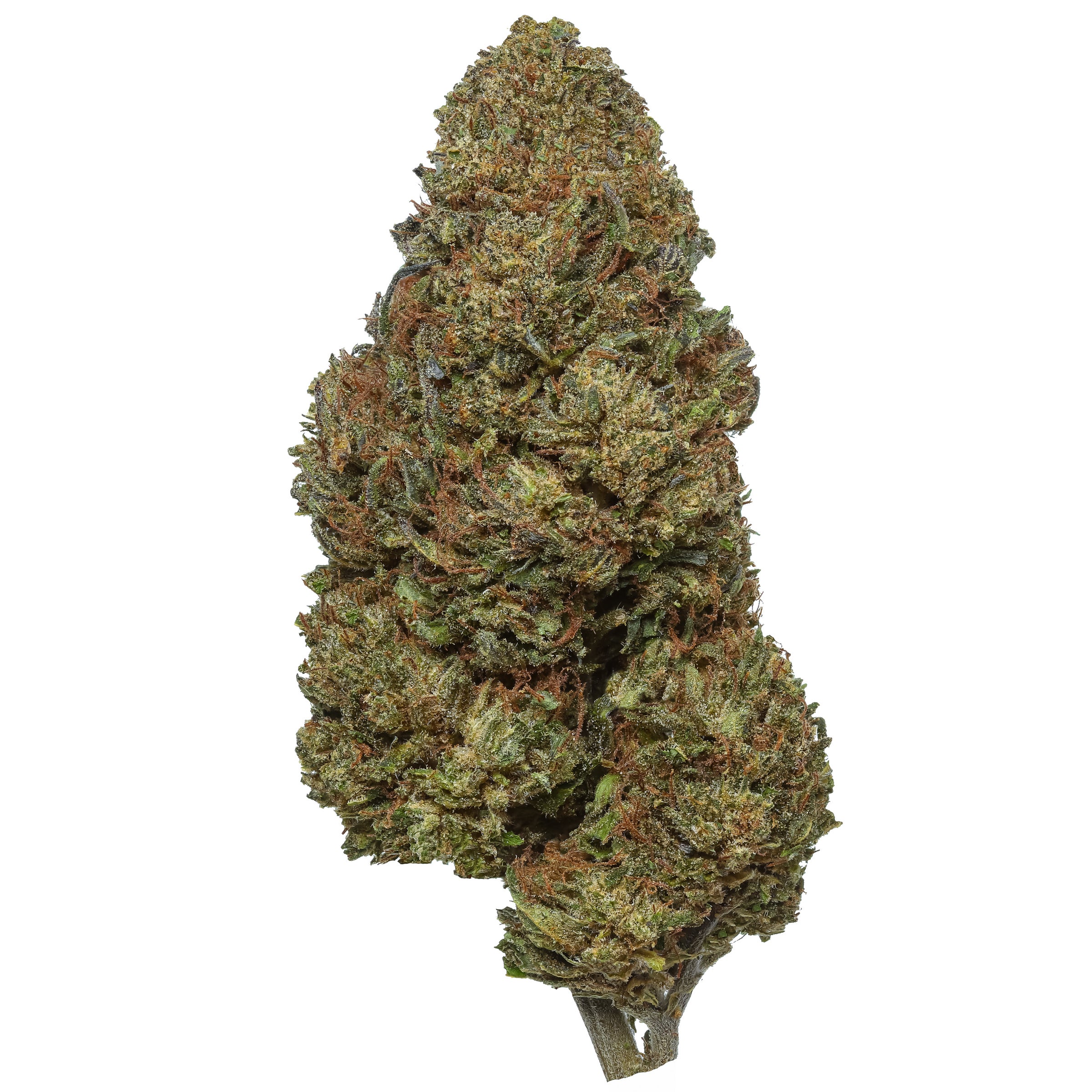 Bubba Kush 59 CBD Hemp Flower | Lost Oak Farms