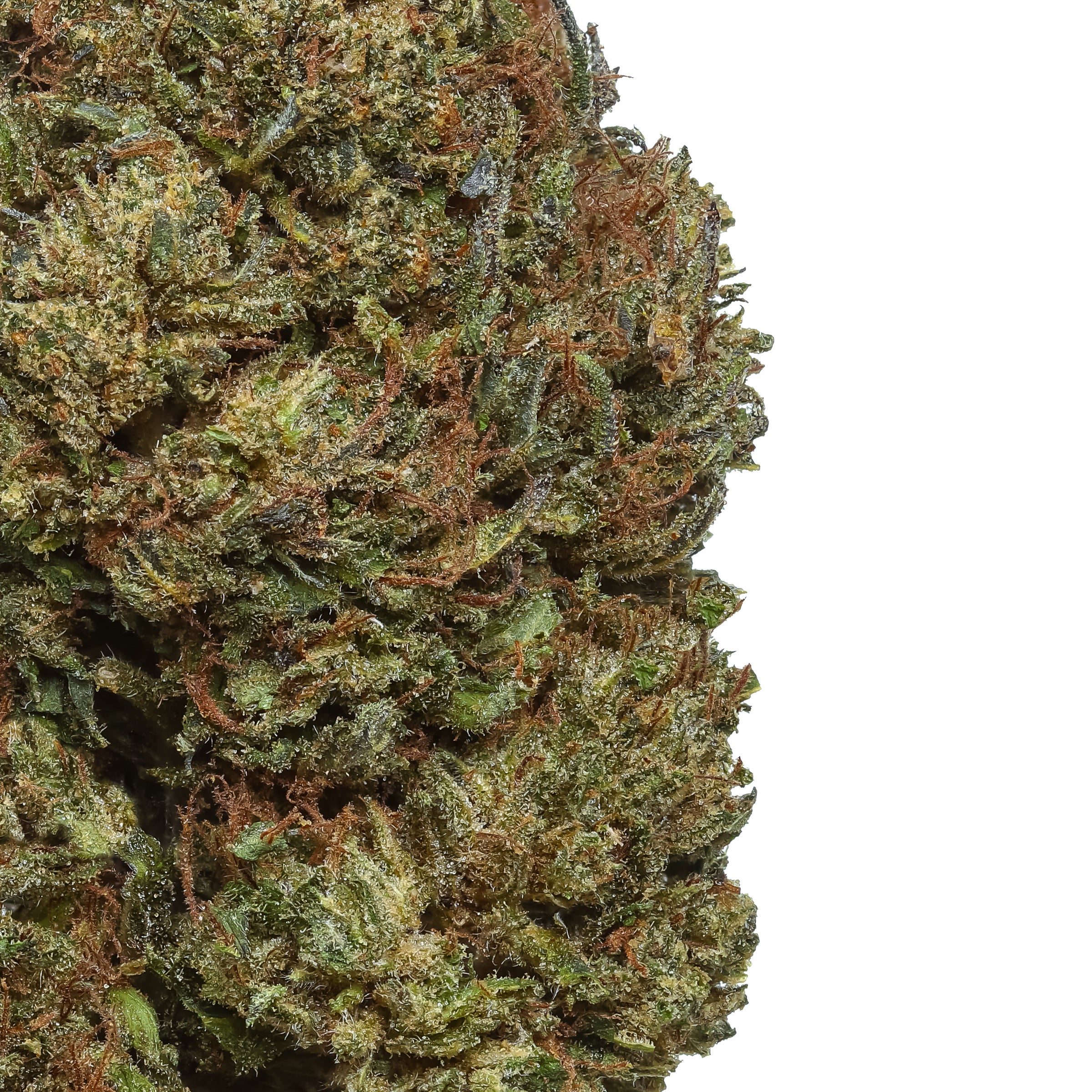 Bubba Kush 59 CBD Hemp Flower | Lost Oak Farms
