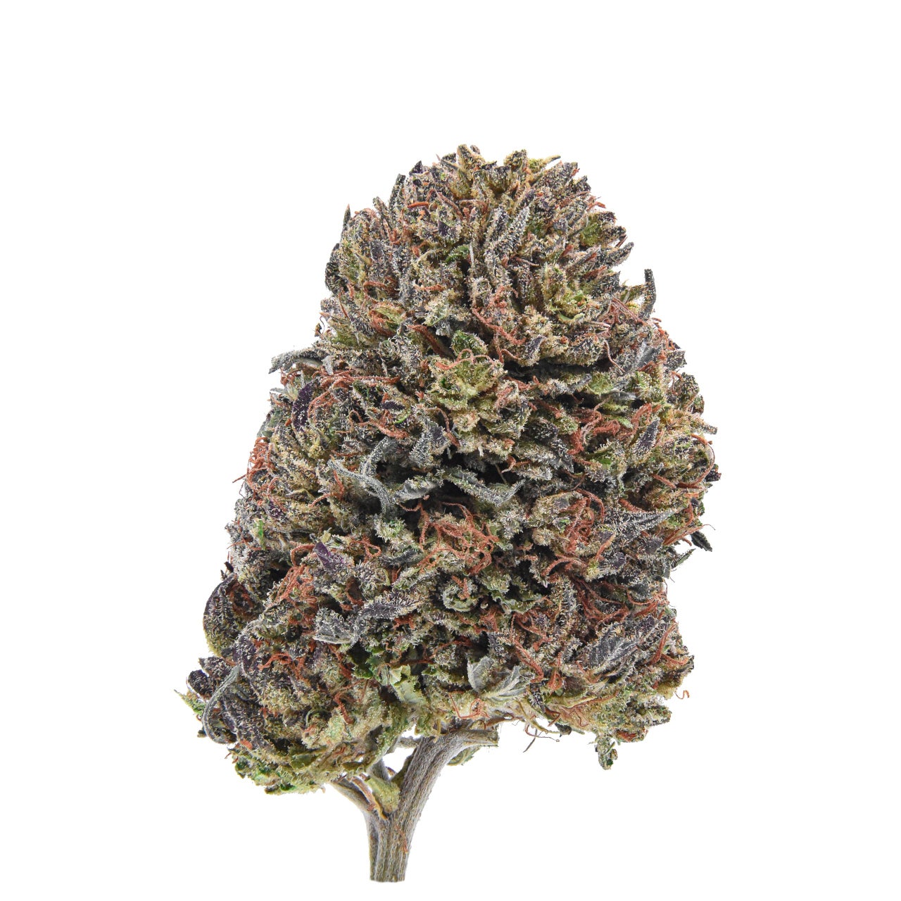 Fresh arrivals at Lostoakfarms