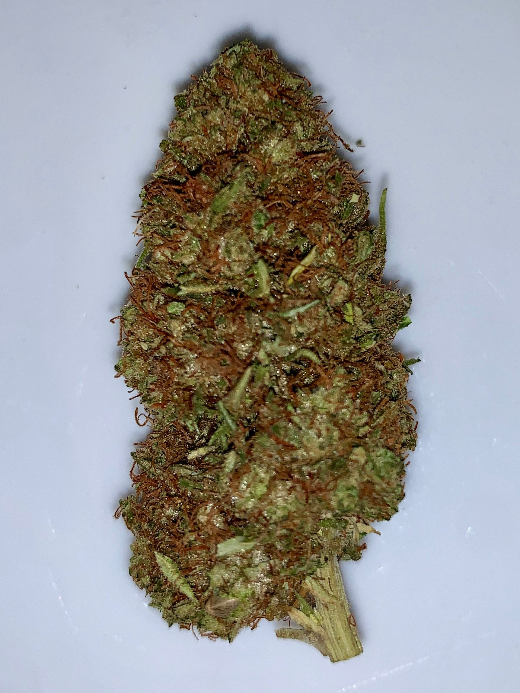 Sour Brûlée Hand Trimmed Hemp Flower 2022 Harvest | Lost Oak Farms