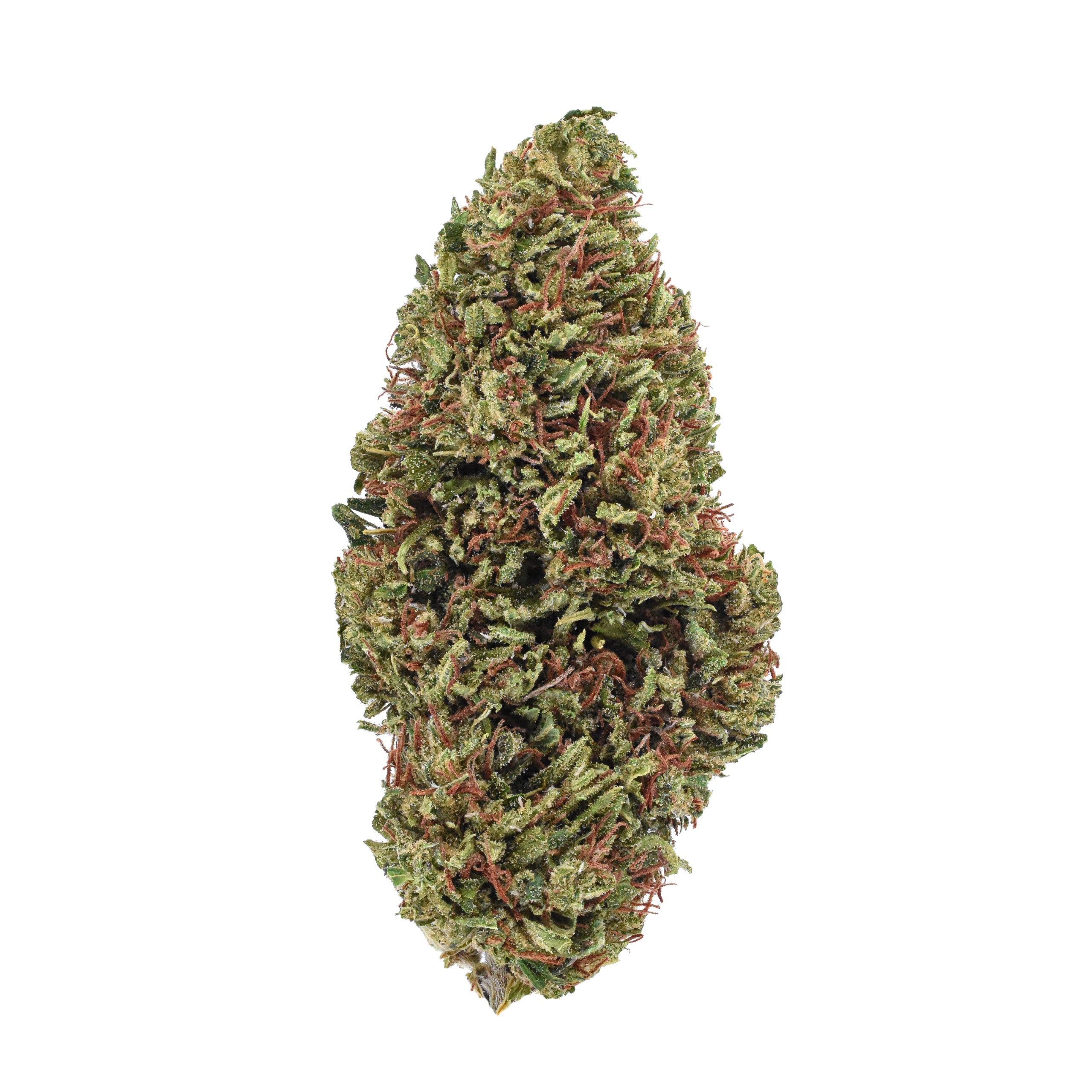 Forbidden V CBDV Hand Trimmed CBDV Flower | Lost Oak Farms