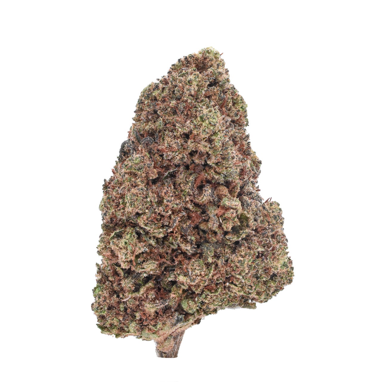 Fyre OG F2 - 2025 Harvest