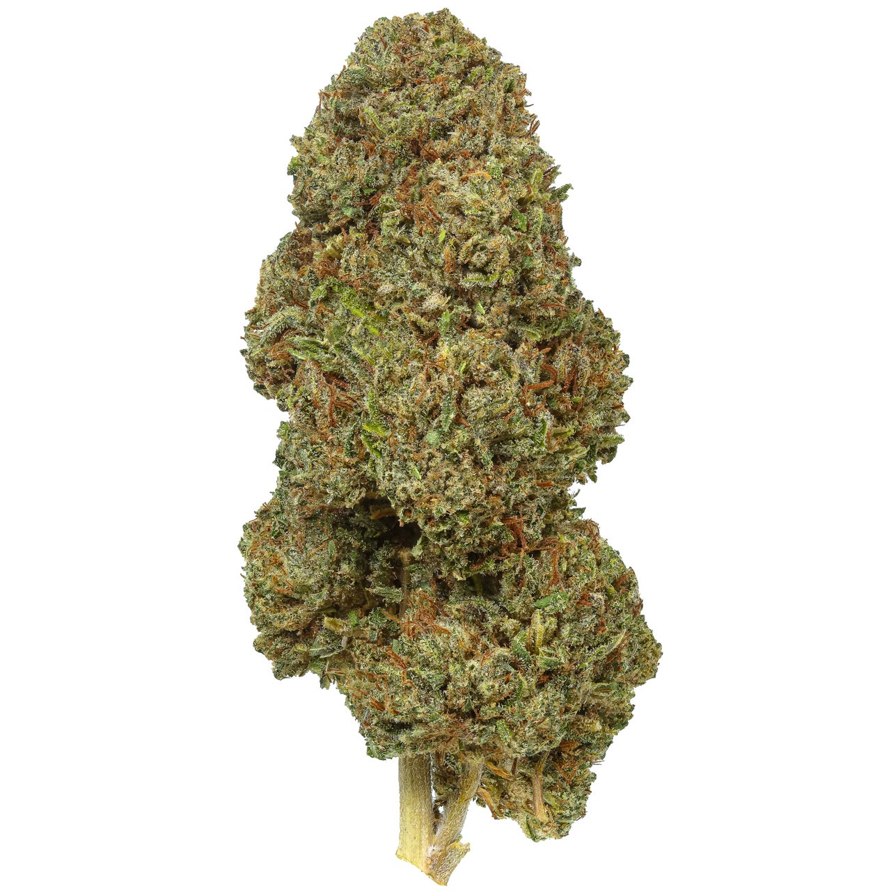 Blue Nitro Hemp Flower - 2025 Harvest