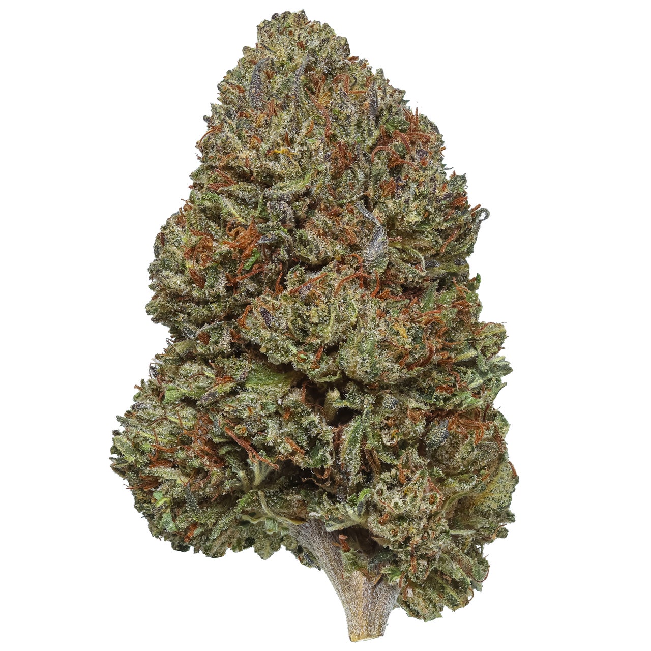 Lemon Octane #13 - 2025 Harvest