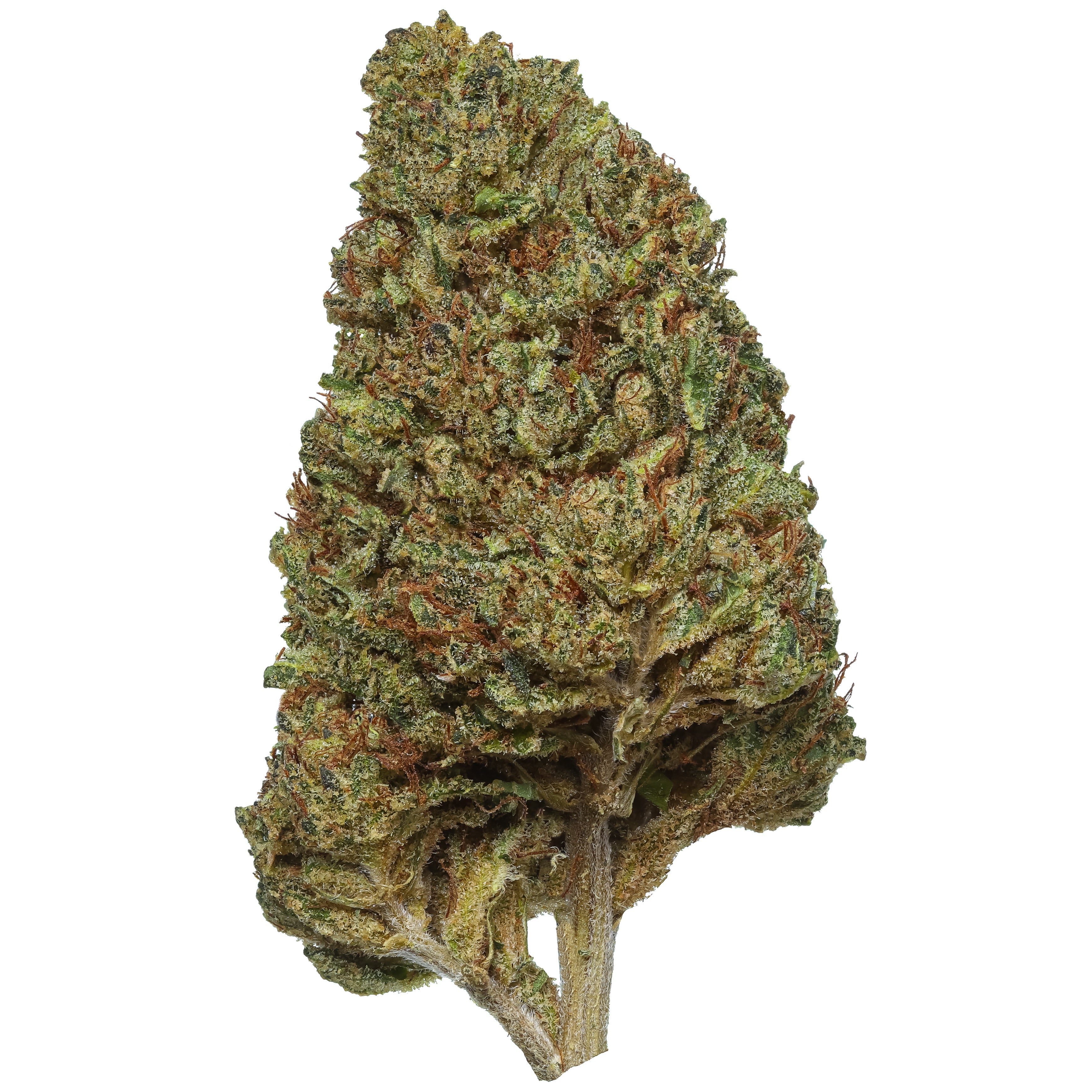 Demi Glaze | Lost Oak Farms